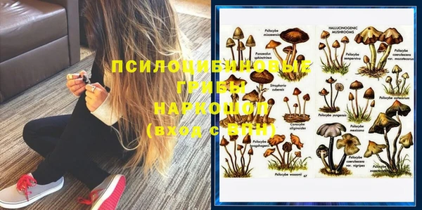 дмт Абаза