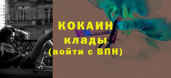 индика Покровск