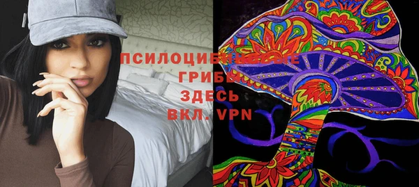индика Покровск