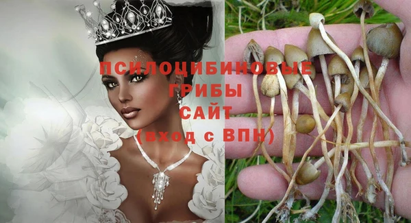 ГАЛЛЮЦИНОГЕННЫЕ ГРИБЫ Покачи