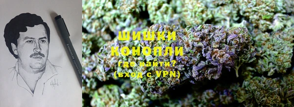 индика Покровск