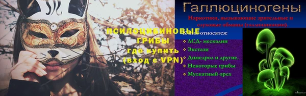 дмт Абаза